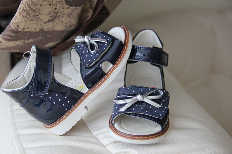 Наш хвастик