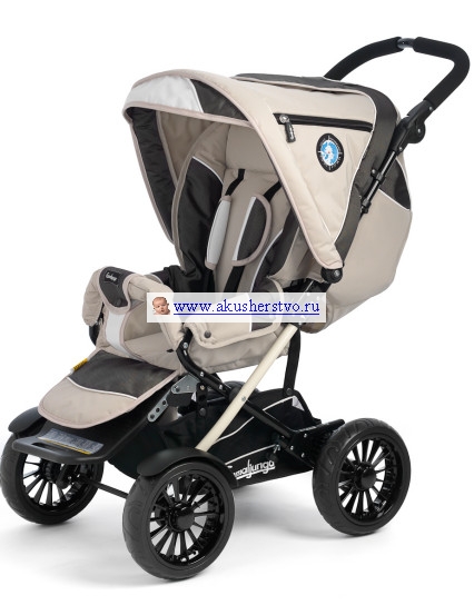 Проголосуйте плиззз!Зимняя прогулочная коляска.