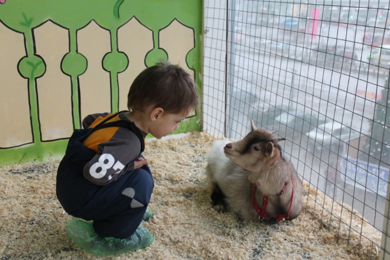 Домашний зоопарк)))