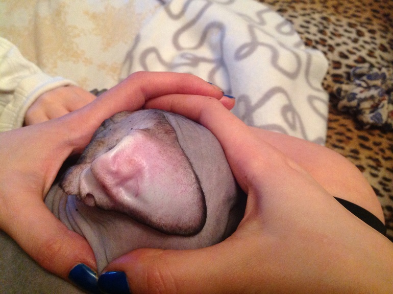 Странные пузырьки