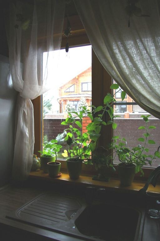 Кухня в деревянном доме.