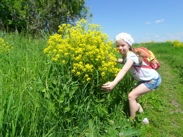 Ходили прогуляться... погода замечательная