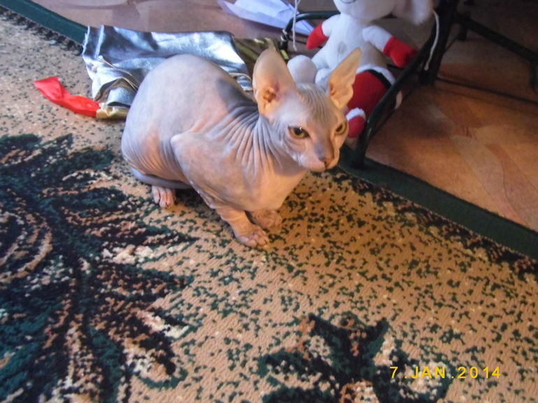 нашей девочке 6 мес))))