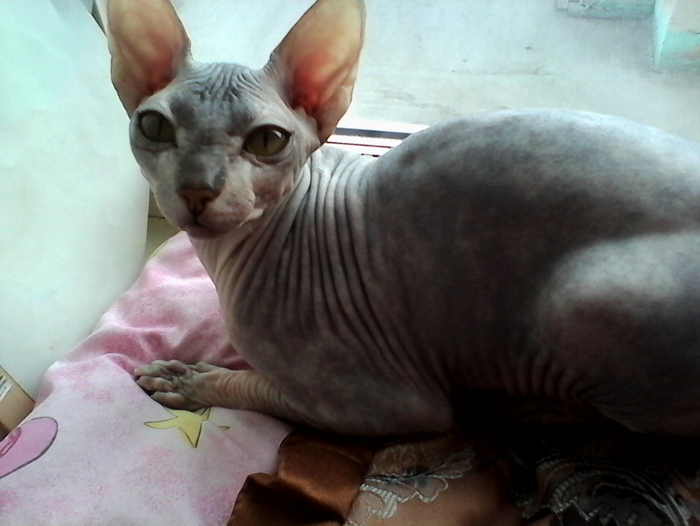 нашей девочке 8 мес.