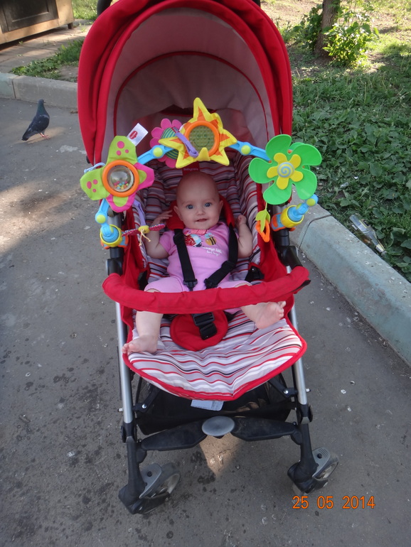 Гуляли сегодня в прогулке