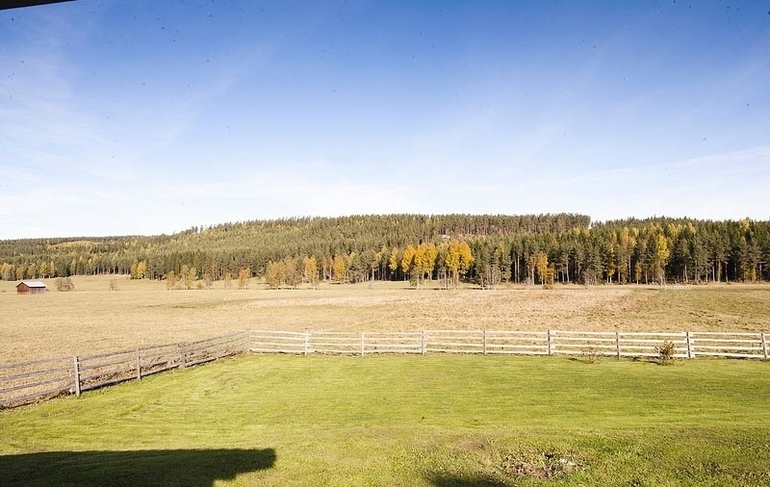 Лаконичность и графичность. Классический образец.
