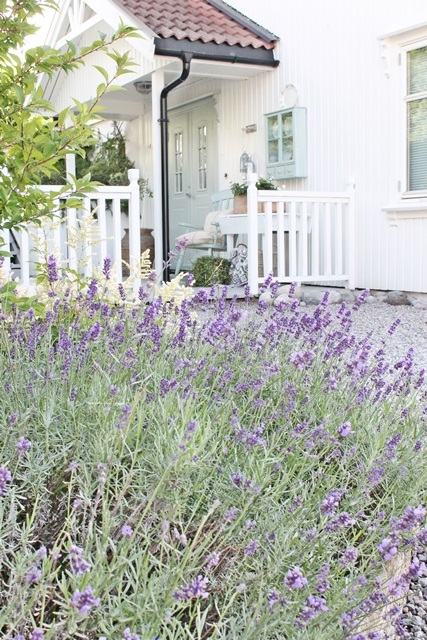 Красивый дом Вибеке