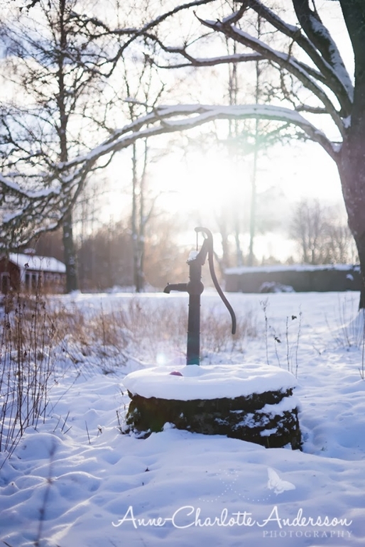 Вкусное. Зимнее