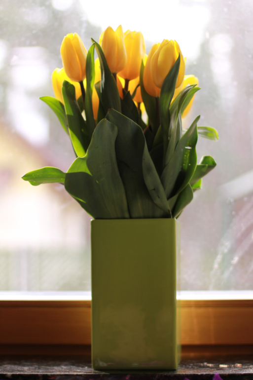 Фотопост весенний