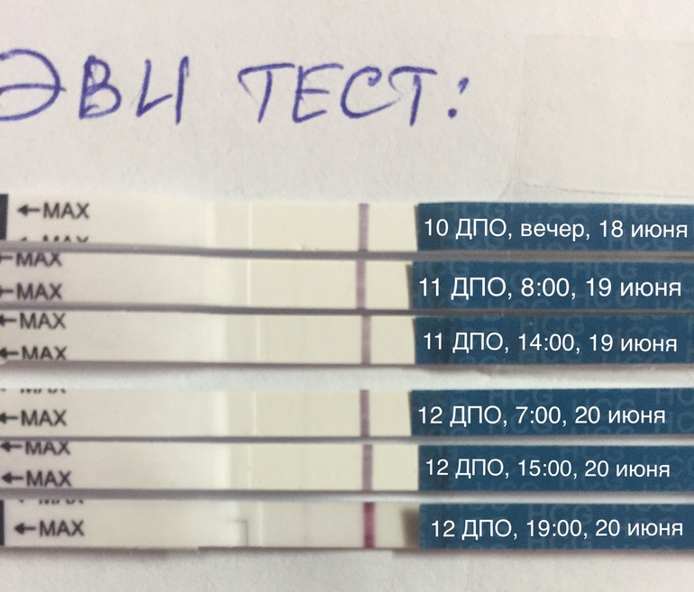 На Какой День После Секса Тест Покажет