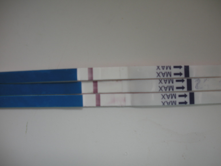 мои тесты врунишки.