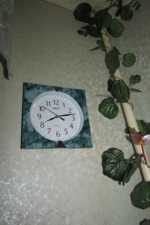 Один день из жизни Флайледи