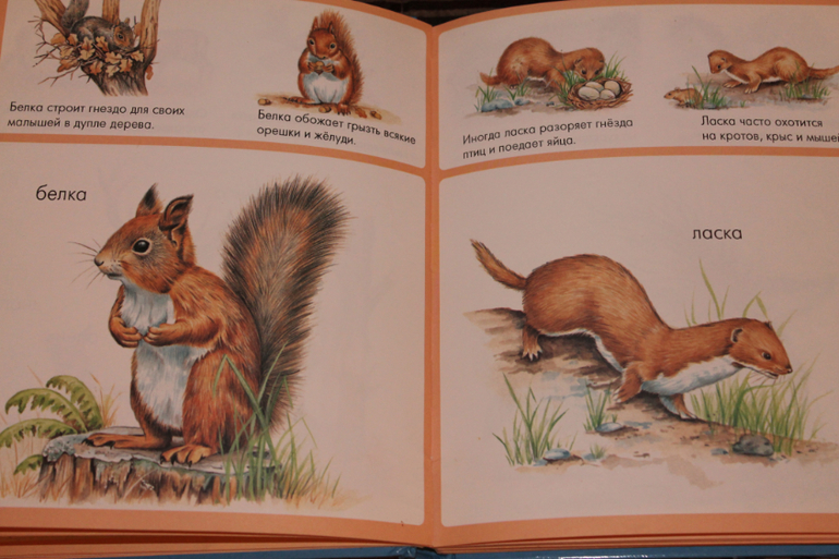 книжное счастье