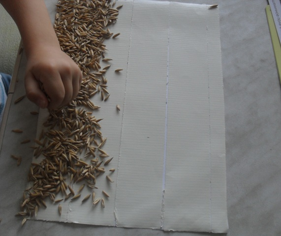 Делаем аппликацию с крупами вместе с малышом!