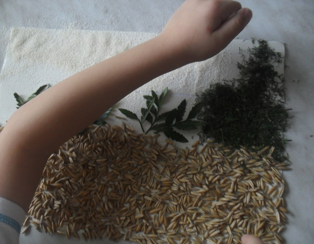 Делаем аппликацию с крупами вместе с малышом!