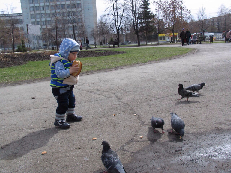 Прогулки...