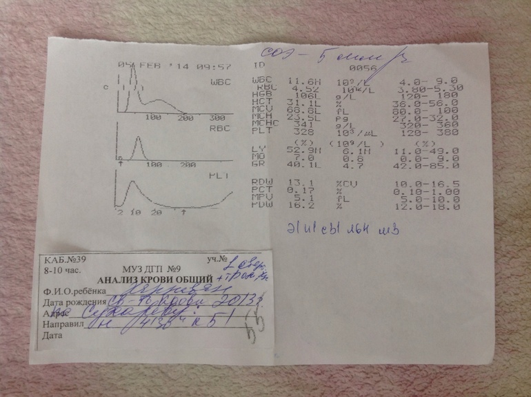 Анализ крови!