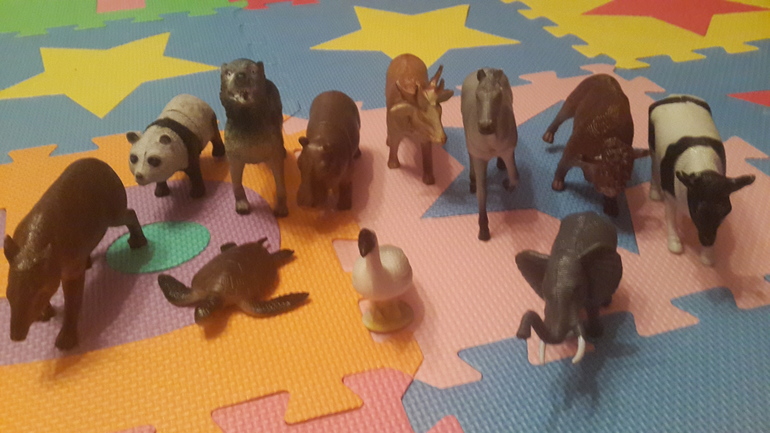 Как и чем мы занимаемся в 10 мес