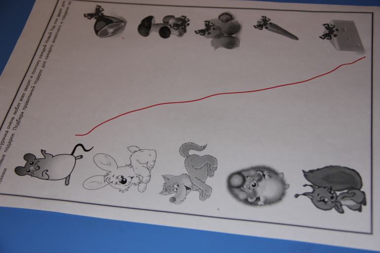 Тн "Лесные животные".