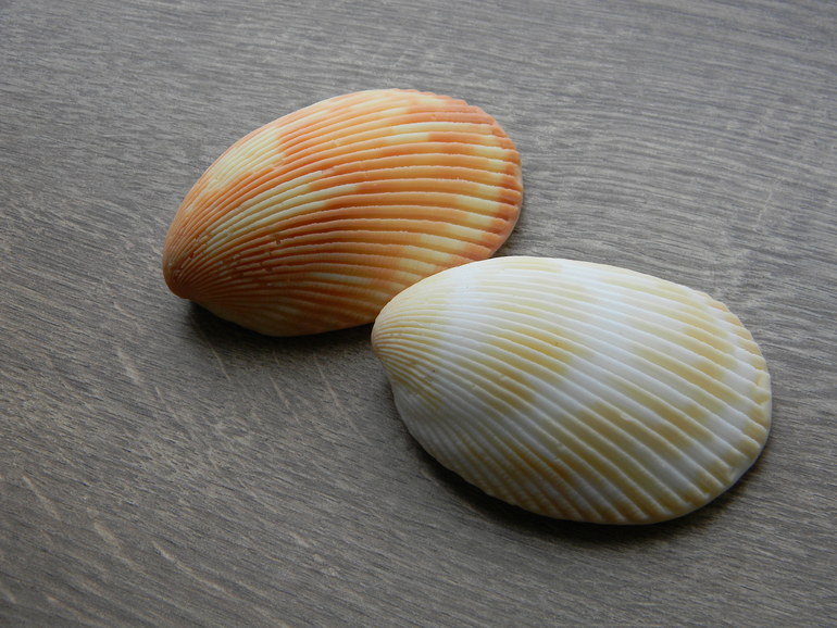 Новые формы