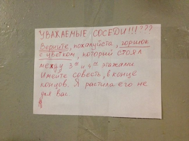 Жизнь подъездная