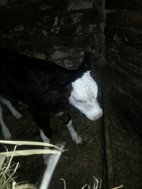 Немного о нас