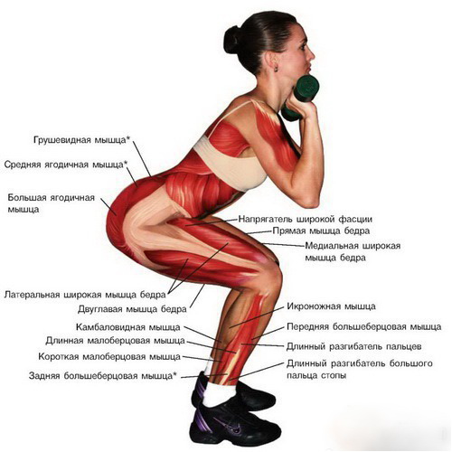 неожиданность! как ебутся русские девушки мне кажется, это отличная