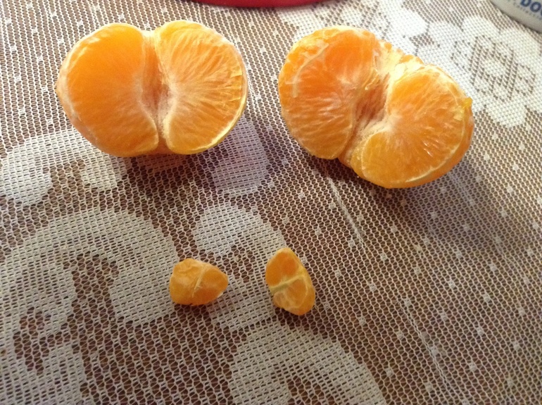 Беременный мандарин :)