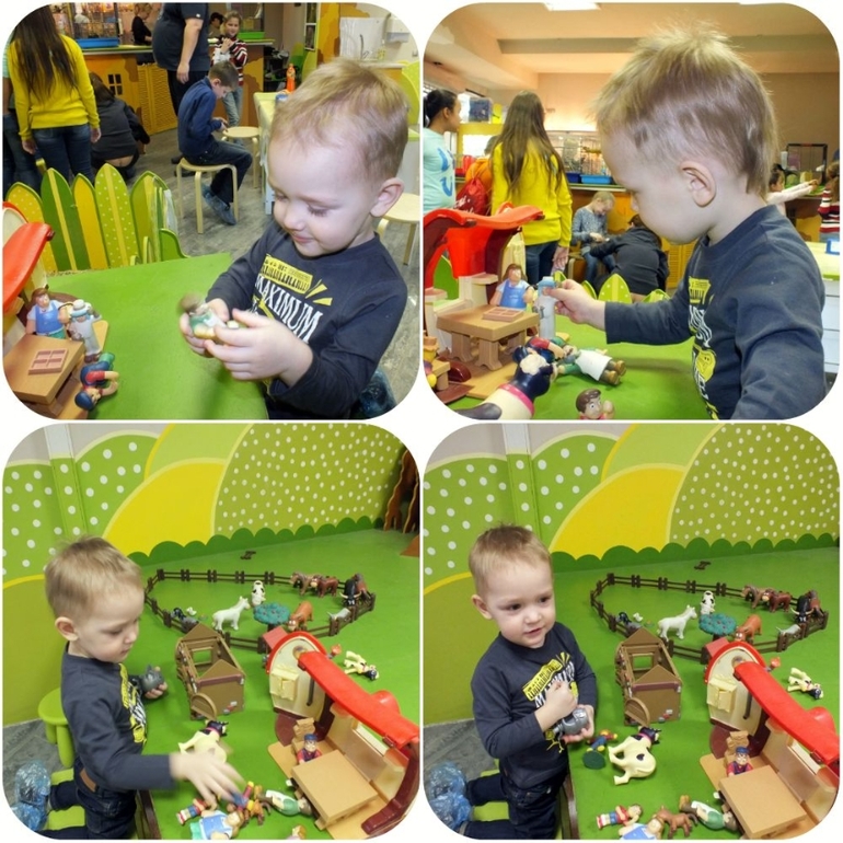 ТН Домашние животные.