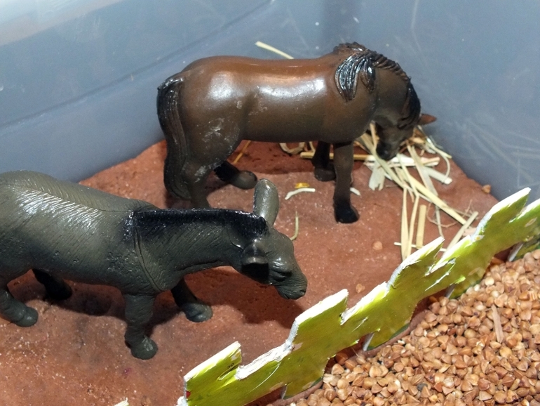 ТН Домашние животные.