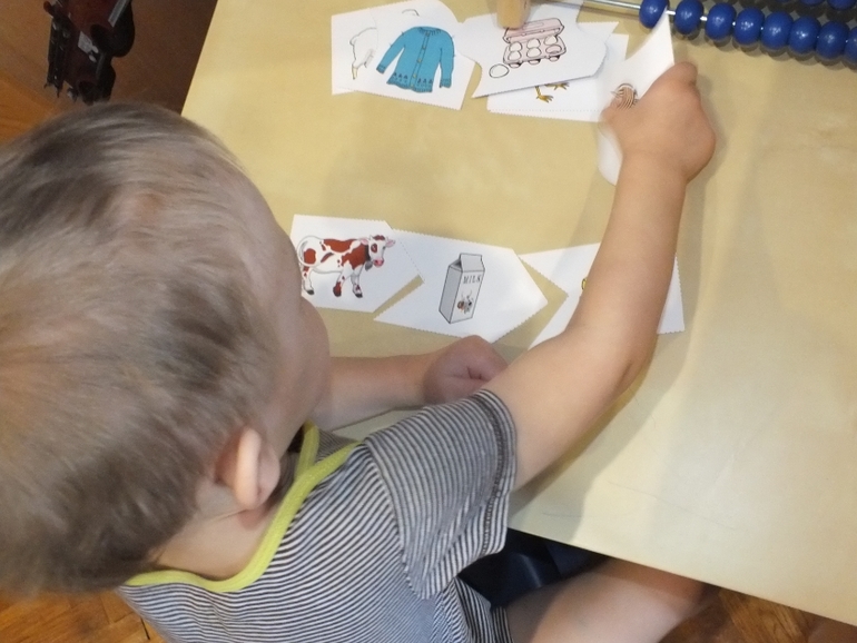 ТН Домашние животные.