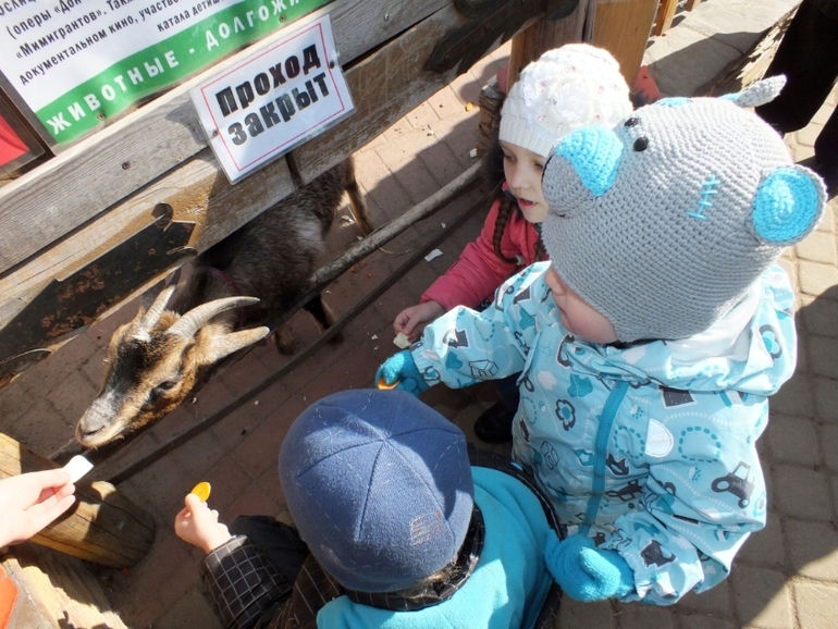 ТН Домашние животные.