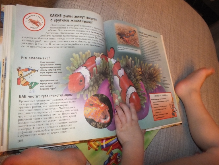 ТН цвета. Оранжевый.