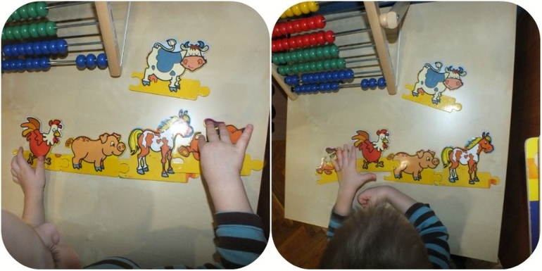 ТН Домашние животные.