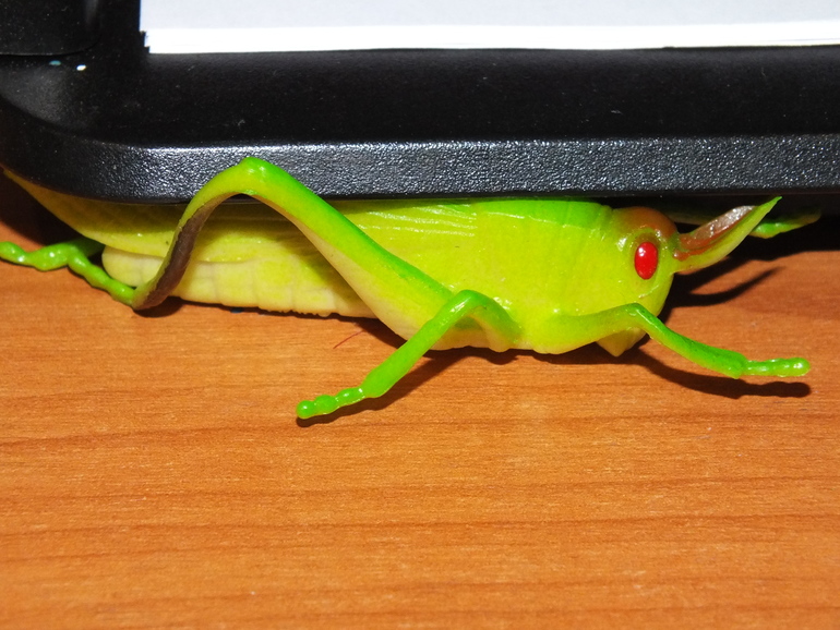 ТЗ "Муха-цокотуха"