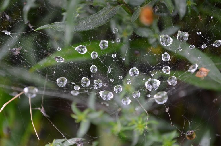 Дача моими глазами