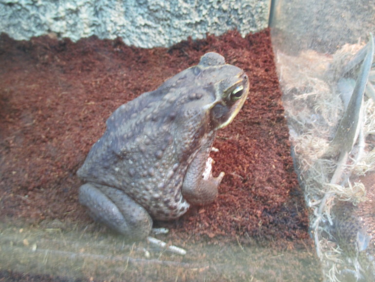 Интересно!! Избариум в Красногорске