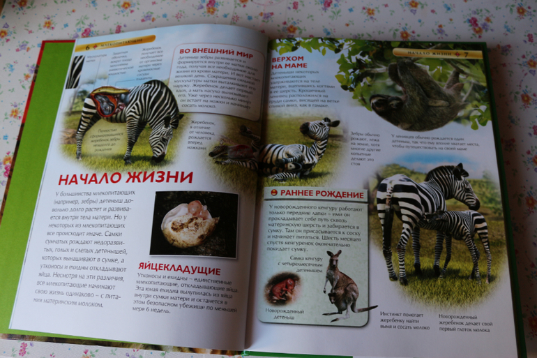 Пополнение детской домашней библиотеки.