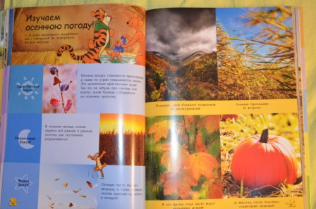 Из последнего. На вырост)