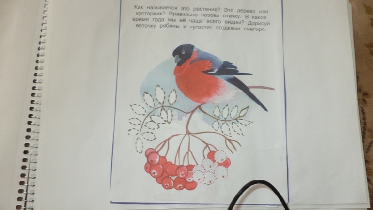 Наш зимний альбом.