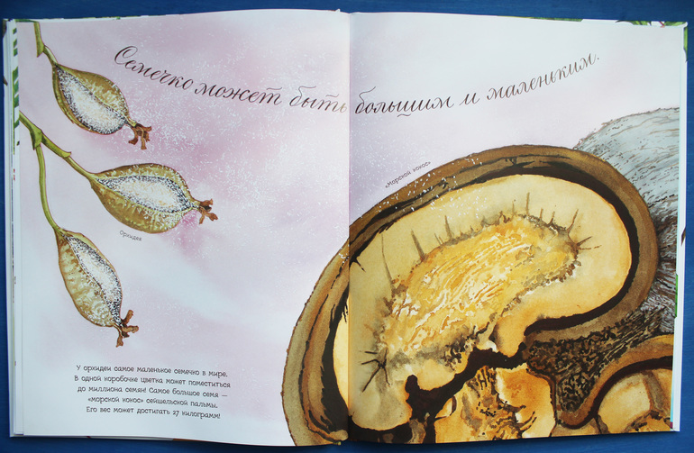К чему снится Книга. Видеть во сне Книга - Сонник Дома Солнца