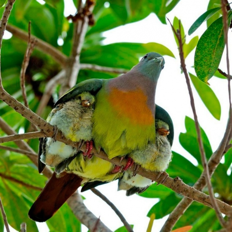 Мамочки.. они такие )))