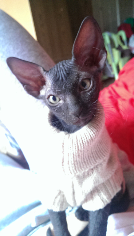 Знакомьтесь - Юта! )))