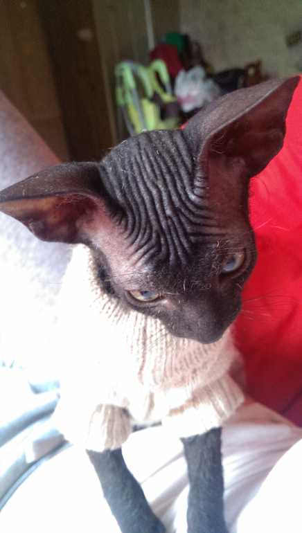 Знакомьтесь - Юта! )))