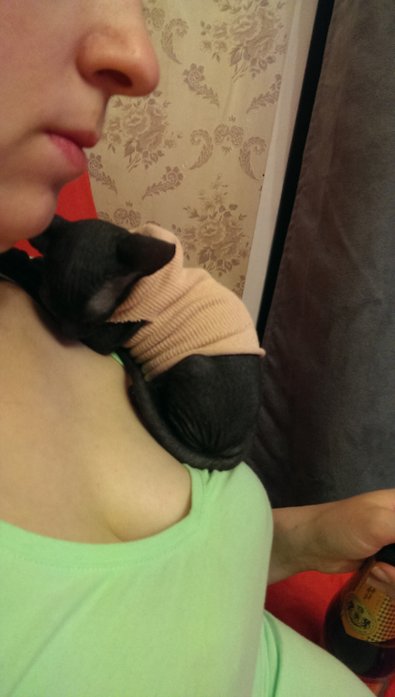 Знакомьтесь - Юта! )))