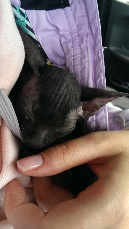 Знакомьтесь - Юта! )))