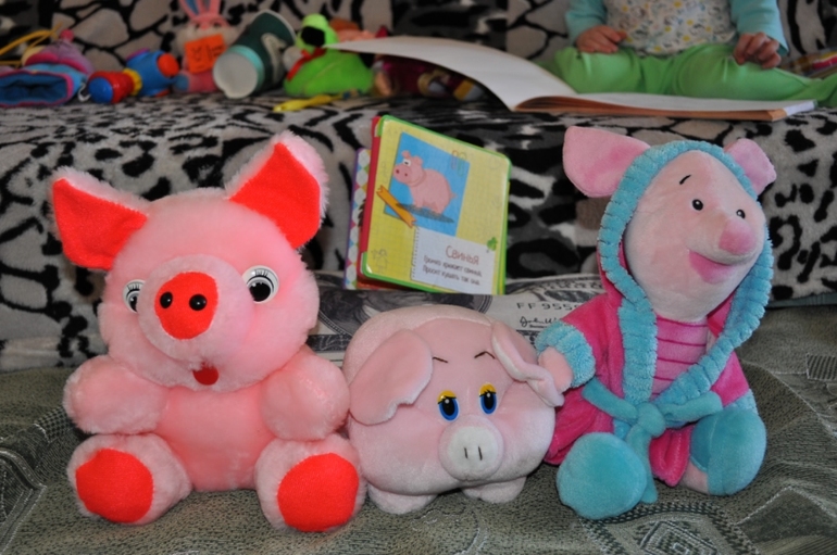 ТН "Скотный двор" День 5. Свинья