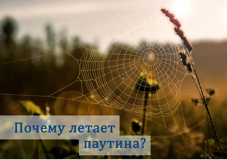 Как сделать паутину как летать на паутине Как сделать паутину как летать на паутине