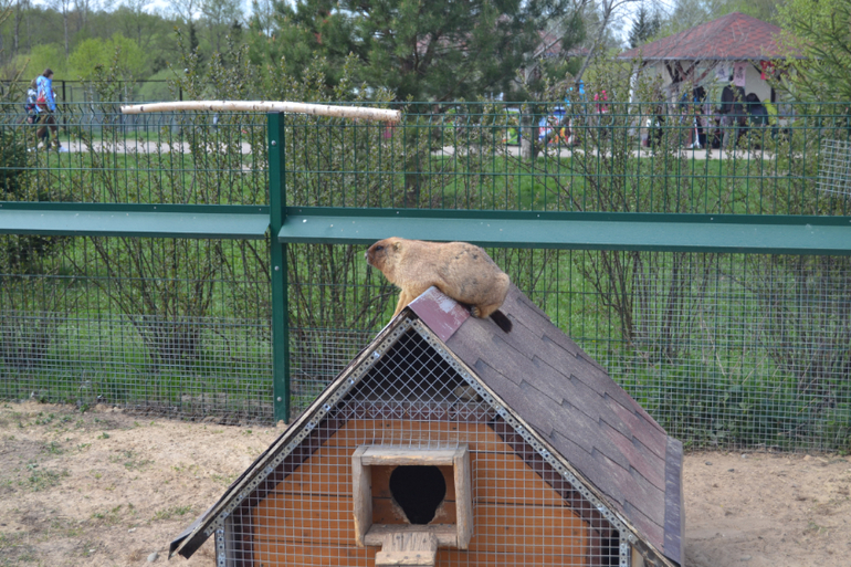 Парк птиц