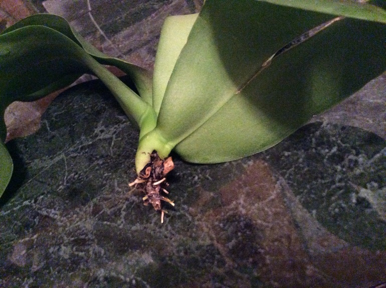 Нас можно спасти???